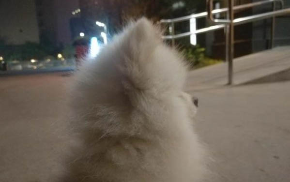 狗身上的蜱蟲會不會爬到人身上?