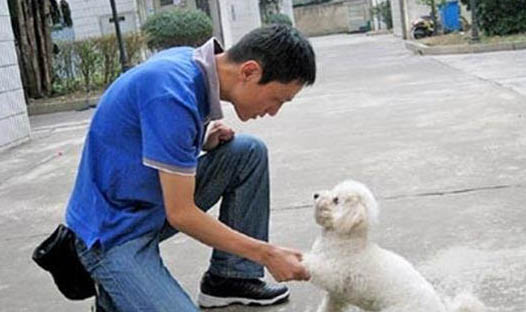 狗狗很愛吃自己的便便怎么辦