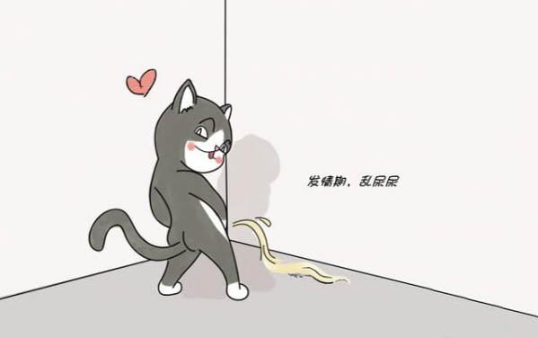 小貓感冒癥狀能自愈嗎為什么呢