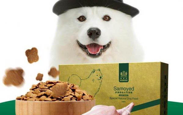 狗狗耳螨怎么治便宜