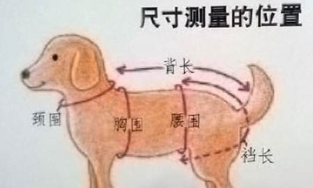 小狗狗食欲不振是因為什么原因