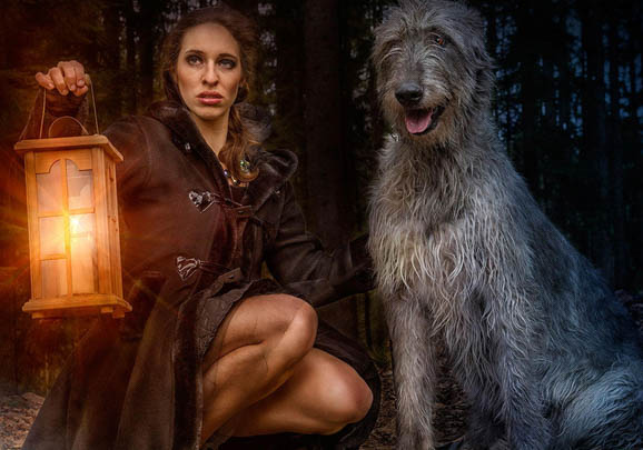 愛(ài)爾蘭獵狼犬嘔吐白沫的原因及處理方法