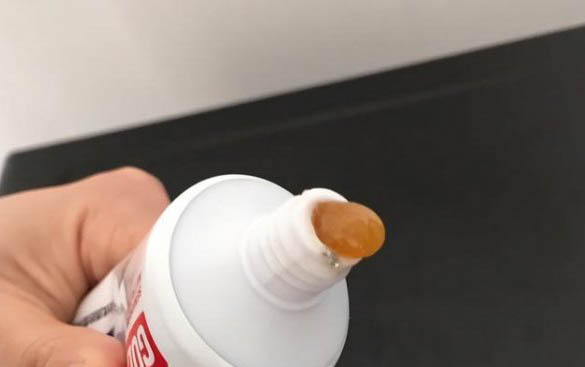 貓咪除了吃貓糧還吃什么?