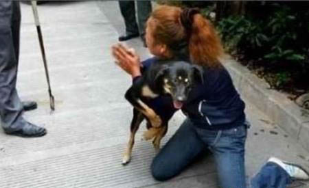 狗狗腎衰竭有哪些癥狀？