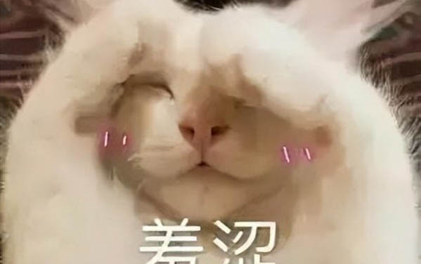 母貓貓咪亂尿的解決方法是什么