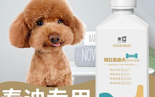 狗狗得了怎么辦犬瘟能治好嗎