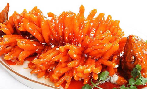 狗和貓哪個好養(yǎng)