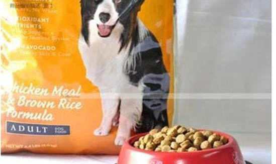 狼青犬智商在犬類中排行第幾