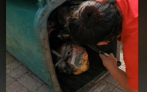 貓咪眼睛紅紅的咋回事