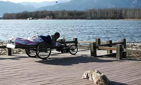 狗狗吃完感冒藥吃出嘔吐