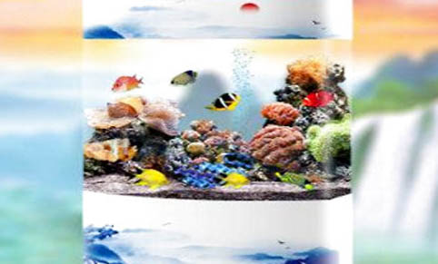 魚缸里用不用放清道夫,魚缸內養清道夫的利弊