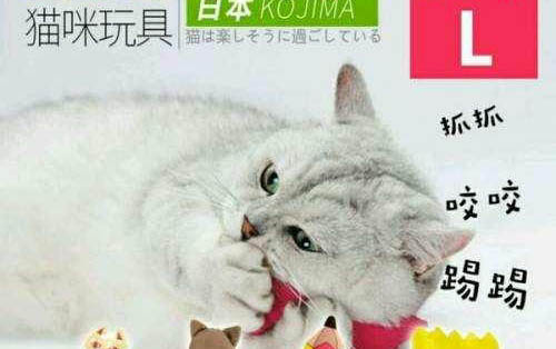 貓可以吃碧根果嗎