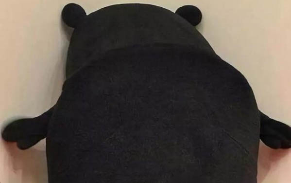 貓懷孕多少天生小貓