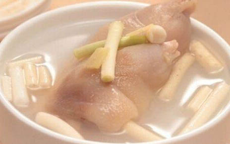 小狗得了細小怎么處理