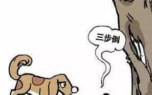 狗毛剃了多久能長出來