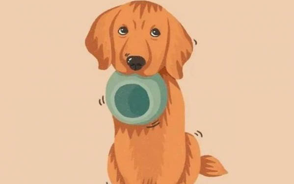 狗狗拉肚子沒有食欲怎么辦