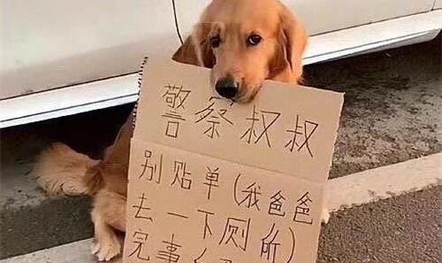 狗會換牙齒么