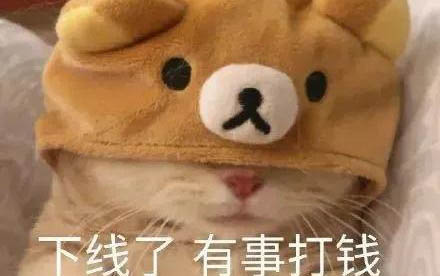 貓貓拉肚子的原因及處理方法