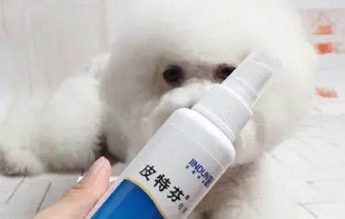 狗狗打完疫苗脖子有包怎么辦