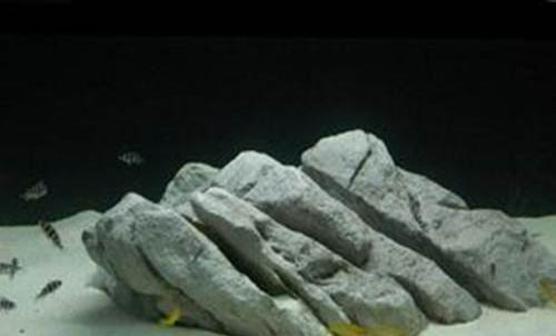 狗狗被魚刺卡喉嚨會怎么樣嗎