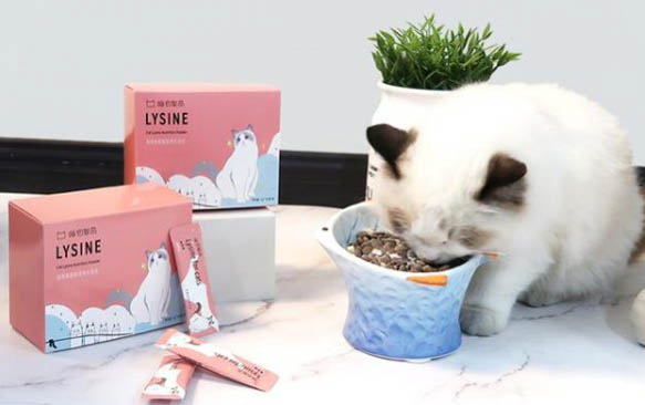 小貓鼻塞和流眼淚是什么癥狀表現