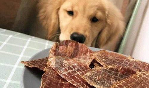 狗狗細小病毒多長時間能吃