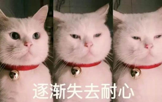 小貓流鼻涕流眼淚還發熱是怎么了