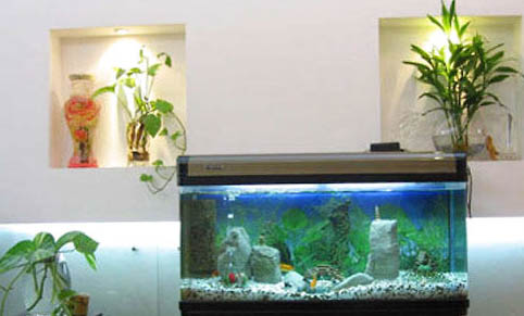 四月釣魚釣近水還是遠水