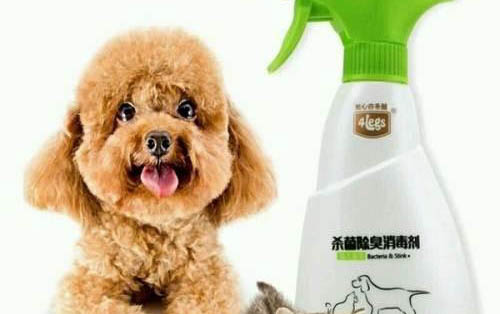 狗狗髖骨術后保健