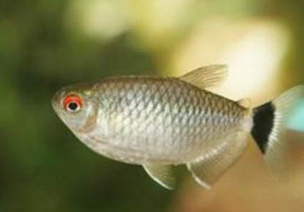 西北風釣魚釣深好還是釣淺好