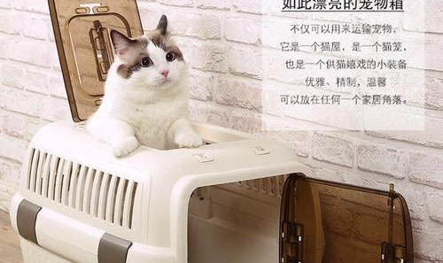 寵物貓需要打什么疫苗