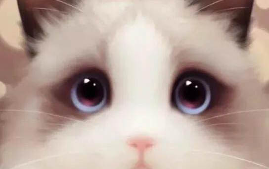 貓糧會導致貓咪尿頻嗎