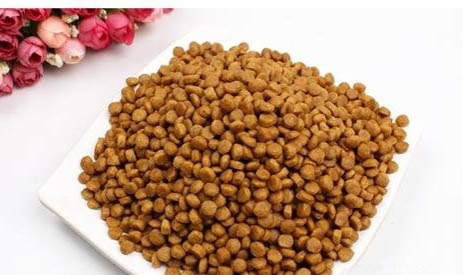 可以代替狗糧的食物有哪些?