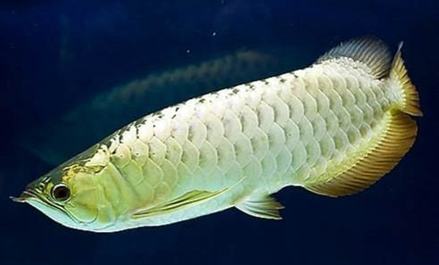 二月份適合釣魚(yú)嗎