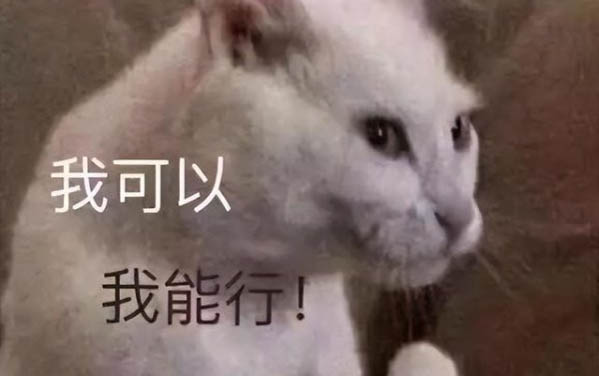 小貓晚上睡覺打呼嚕正常嗎