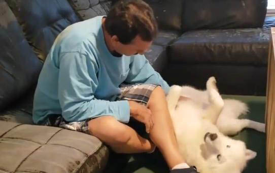 小狗夜里亂叫怎么辦