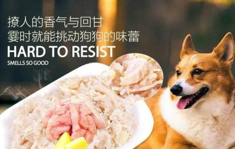 狗狗牙齦出血用什么藥?