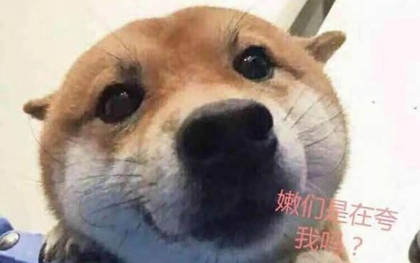 狗狗一直哈氣吐舌頭