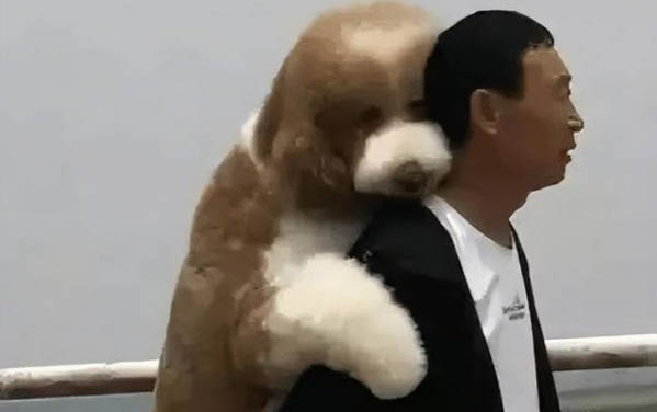 小狗喜歡吃屎是什么原因?