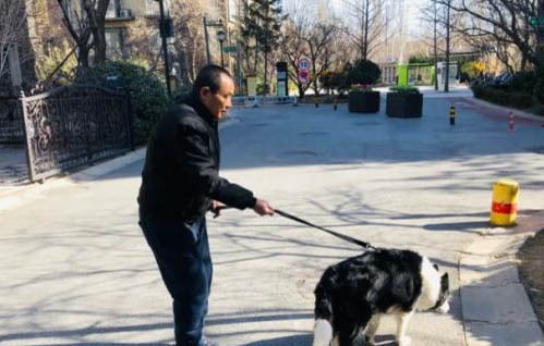 遛狗遛多久合適