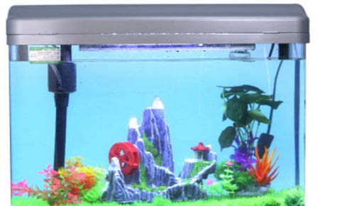 小型魚池需要增氧嗎