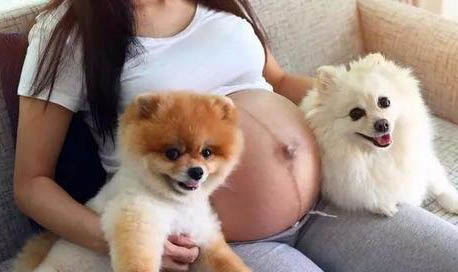狗狗感冒的癥狀有哪些?
