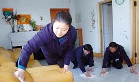 恩萃兔肉糧貓咪吃不吃