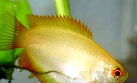 秋冬季好釣魚嗎?