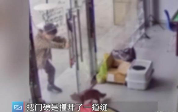 貓咪總是半夜叫怎么辦