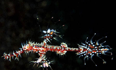 5月份水庫釣魚可以釣6米深嗎