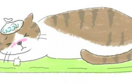 怎么讓貓咪回奶