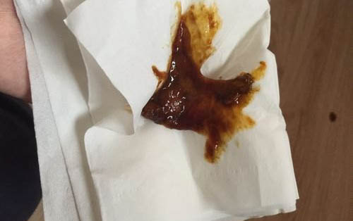 狗狗越來越瘦的原因及解決方法