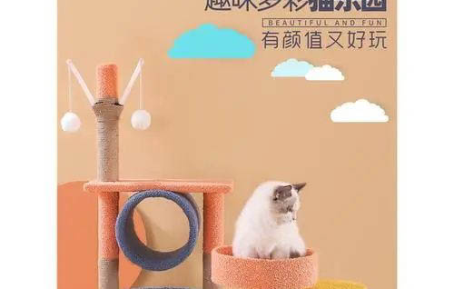 貓膀胱炎是怎么引起的