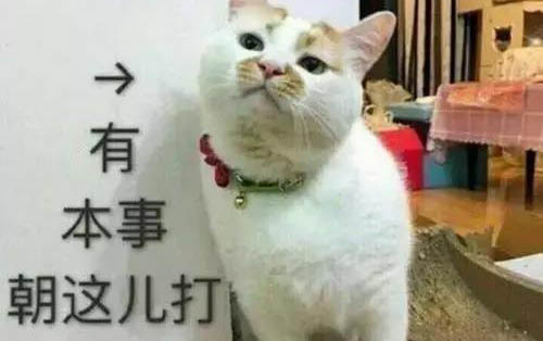 貓得了貓蘚多久能好